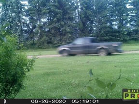A black pickup truck was seen fleeing from the property at Highway 29 and Range Road 191 on June 26.