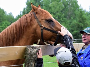 Joe Meuleman has always been fond of horses. The former Sudbury teacher has been involved in the equestrian community, both in Northeastern Ontario and right across the province, for several years.