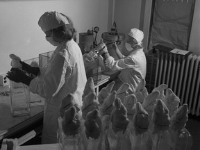 Lab technicians at Connaught Laboratories harvest a virus to be used in producing a Salk vaccine, circa 1954. (National Film Board Photo Story)
