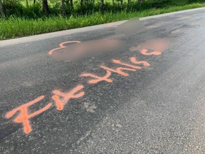 In this altered image, someone spray painted penises and vulgar words over potholes on Range Road 222 just south of Wye Road, presumably in the hopes of drawing attention to the numerous potholes on the road. 
Lindsay Morey/News Staff