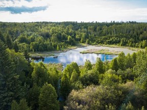 The Ball Berg Property within the Beaver Hills Biosphere. On July 15, the Nature Conservancy of Canada announced more conservation efforts have been completed, attaining 128 additional hectares. Photo courtesy Brent Calver/NCC