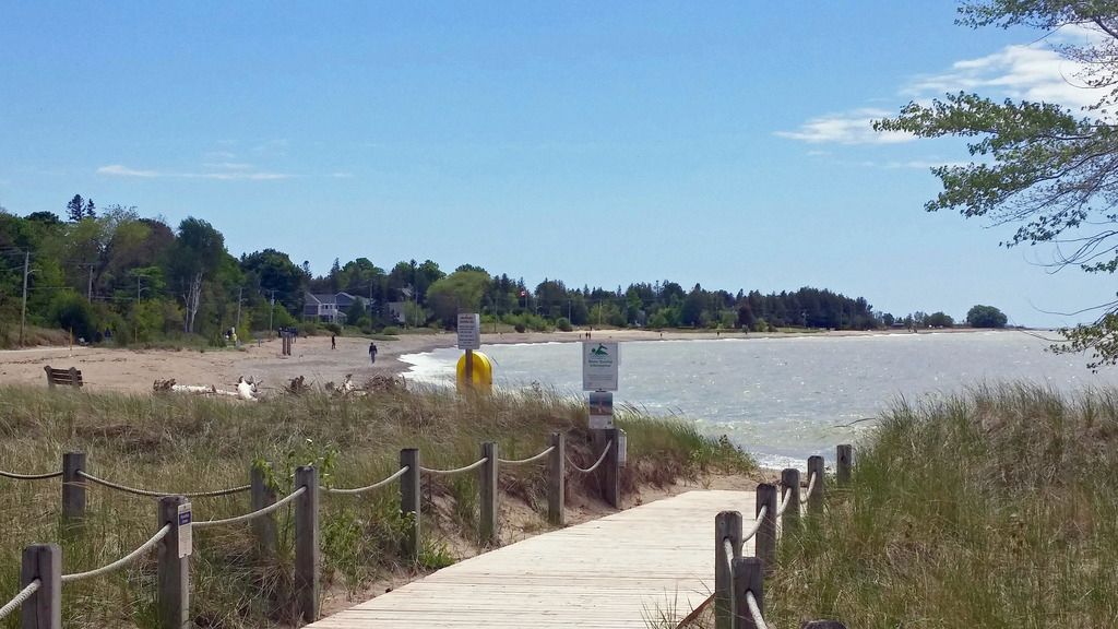 People heeding COVID rules at beaches | The Shoreline Beacon