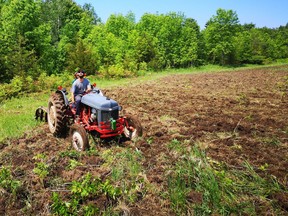 Turning over the field with Ford 2N Tractor, spring 2020. Photo supplied by Bob McLeod.