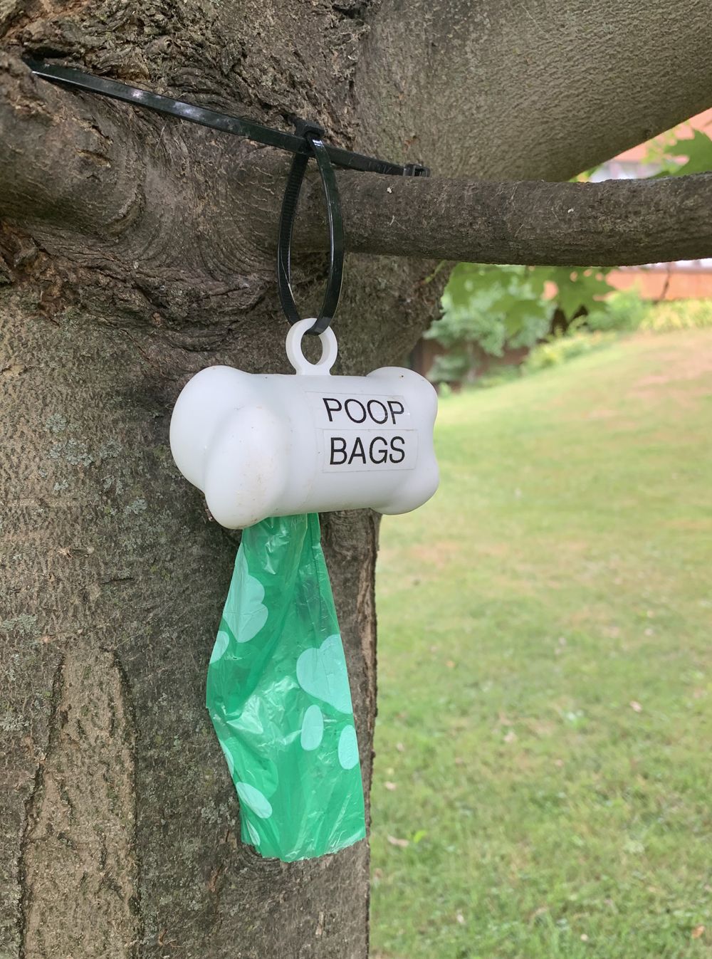 Increase in complaints of dog poop not being picked up Mitchell Advocate