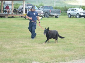 Kelly Fowler demonstrates K9 Bear's ability to sniff out anything from people to small pieces of evidence at crime scenes during Heritage Acres' pop up event on Saturday, July 18.