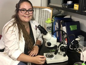 Madison Laprise, 22, who is pursuing a Masters in the integrative biology program at the University of Windsor, has won an award at the North American Forensic Entomology Association's annual international conference for her research on predicting carrion availability with the end goal of finding and studying blow flies. Handout