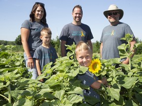 Lambton County farmer Brian Schoonjans (right) has planted a field of sunflowers to raise funds for cancer charities in memory of Forest tot Max Rombouts, 2, who lost his fight with leukemia last June. Joining Schoonjans are Max's parents, Jamie and Kevin, and their sons Hudson, 5, and Zachary, 7, who shows off a burgeoning bloom. Derek Ruttan/Postmedia Network