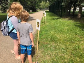 L-R: Cheyenne Jones, 12, and Nathan Jones, 8, enjoy Story Walk. Story Walk is comprised of laminated book pages along a trail, giving kids an opportunity for outdoor activity while reading and asking questions.