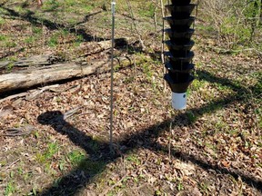 The St. Clair Region Conservation Authority provided this photo of a trap used in St. Clair Township to monitor for beetles carrying oak wilt.