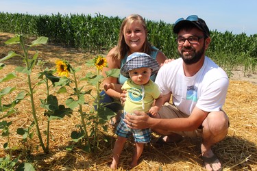 Keagan Moreau, eight months, stands with sunflowers just his height at the edge of the field Sunday at Miracle Max's Minions in Plympton-Wyoming. With him are his parents Marco and Stephanie Moreau of Thedford.