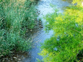 The Huron Clean Water Project is informing the public about grants available for water quality projects. Handout