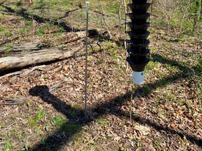 A nitidulid beetle trap placed by the St. Clair Region Conservation Authority in St. Clair Township. Handout