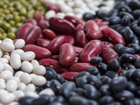 Beans possess unexpected diversity, with a surprising number of varieties, writes columnist Denzil Sawyer.