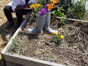 Patricia Wynter at one of her raised garden beds. Patricia Baker