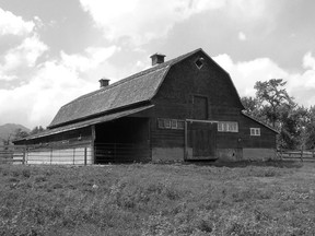 A Doukhobor barn at Bogatyi Rodnik village site, 2008. Courtesy Jonathan J. Kalmakoff.