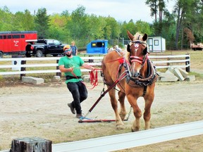 Photo by Leslie Knibbs/For The Mid-North MonitorA popular attraction at the annual Massey Fair in past years was the heavy horse show.