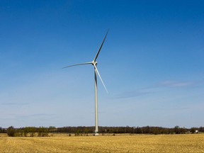 One of the Nation Rise Wind Farm's turbines, seen when the project's construction was halted, on May 14, 2020.