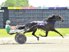 Two-year-old trotting colt Fashion Frenzie won his Ontario Sires Stakes’ Grassroots Series division in a Hiawatha Horse Park track record 1:59.4 in Sarnia, Ont., on Saturday, July 25, 2020. (Holly Chaytor-Photos By Design)