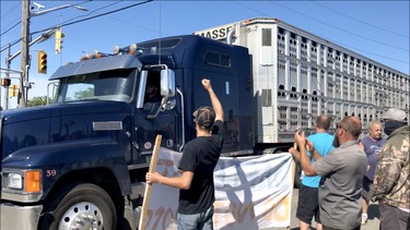 Ag supporters (with banner) celebrate after police remove activist Sabrina Desgagnes and other animal rights activists from in front of a transport entering the Sofina Fearman's Pork Ltd. processing plant (Diana Martin, Ontario Farmer)