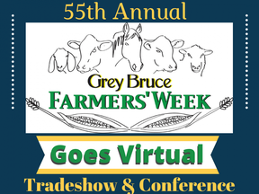 GBFW Goes Virtual