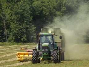 Mike McNaughton kicks up some dust as he blows hay into a wagon for silage north of London, Ont. (Mike Hensen/The London Free Press)