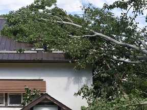 The back of Sandy Sryjanen's hosue in Nipawin following a servere thunderstorm on Thursday, July 2. Photo Susan McNeil.