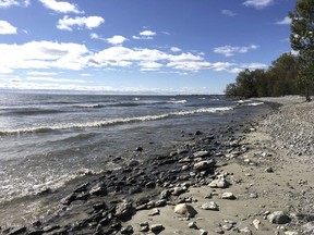 A new 55 hectare (135-acre) parcel of shoreline and marshes was recently purchased by the Nature Conservancy of Canada (NCC) in partnership with the Hastings Prince Edward Land Trust (HPELT) to protect the critical area for wildlife. 
NCC PHOTO