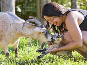 Jennifer Stallmann, manager at Twin Valley Zoo spends time with an African Pygmy goat named Gertie that just gave birth to a kid earlier in the day on Saturday.