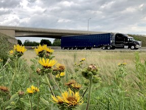 Traffic flows on Highway 401 by the North Augusta Road overpass, near the westbound onramp, near the place where a Houston man fell to his death in a police-involved incident on July 25. (FILE PHOTO)