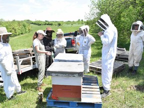 Pictured in June, beehives arrive on Central Huron Mayor Jim Ginn's farm which was the basis in Central Huron becoming a designated Bee City. Daniel Caudle