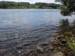 A view of the river from the shoreline in Cornwall, not far from the north span of the bridge. Photo on Friday, July 17, 2020, in Cornwall, Ont. Todd Hambleton/Cornwall Standard-Freeholder/Postmedia Network