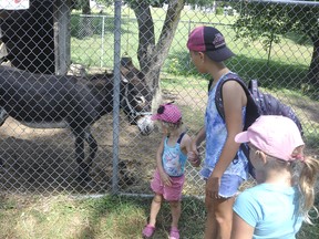 Willa Schoonderwoerd (left), 3; babysitter Kora Smith, 12 and McKenna Schoonderwoerd, 6, visited the newest resident of the Mitchell Lions Animal Park recently - a seven-year-old donkey named Penny. She joins Francis at the park, which as usual has seen its fair share of visitors throughout the summer. ANDY BADER/MITCHELL ADVOCATE