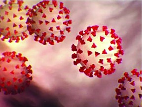 This handout illustration image created at the Centers for Disease Control and Prevention (CDC) shows the coronavirus,