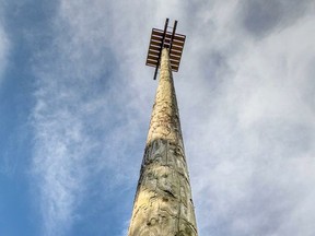 The newly constructed Osprey nest at the Bayfield River Flats. Jack Pal