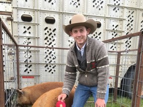 Both the both Hanna Rangeland Multi Club and Dryland Multi Clubs had their swine projects judged with Maya Hickle earning Grand Champion Buckle winner sponsored by Tacabre Ltd.  - Todd and Melanie Bossert. Joleen Scott photo