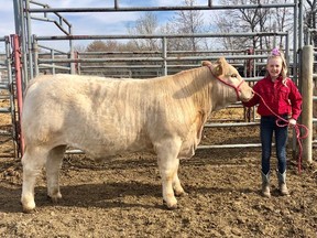 The Hanna District 4H Beef Sale saw Avery Girletz chosen to have the Grand Champion Steer title. Hanna District 4H Beef photo