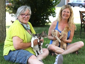 Nancy Clark and Missy Hull hold some of the kittens available for adoption through the Napanee Community Kitten Rescue in Napanee. (Meghan Balogh/The Whig-Standard)