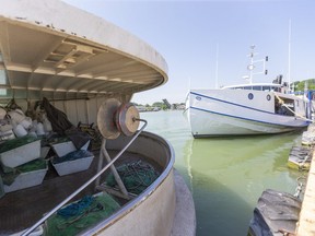 Lake Erie commercial fishing boats lie tied up in the Port Stanley harbour on Thursday. Researchers are forecasting smaller blue-green algae blooms in the lake this year. (Mike Hensen/The London Free Press)