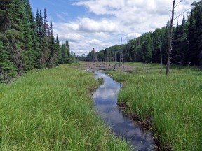 Mikisew Provincial Park