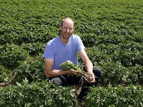 Potato farmer Russell Van Boom on his farm (Northbank Potato Farm) northeast of Edmonton on June 25, 2020.