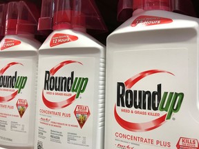 Bayer unit Monsanto Co's Roundup is shown for sale in this file photo. (REUTERS/Mike Blake)
