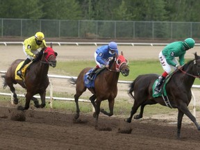 Lady Amelia (in green), driven by Blandford Stewart, thunders down the stretch to pick up the win during the second race at Evergreen Park on Saturday afternoon. The track south of town opened its doors for the first weekend of racing. More than 250 people came out to enjoy the opening two days of racing.