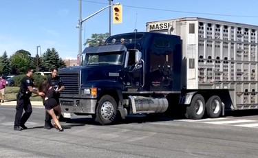 Halton Regional police remove activist Sabrina Desgagnes after she walked into the intersection in front of a moving transport attempting to entering the Sofina Fearman's Pork Ltd. processing plant in Burlington on a green light and right-of-way, July 30, 2020. Desgagnes repeated this action several times over the course of the protest.