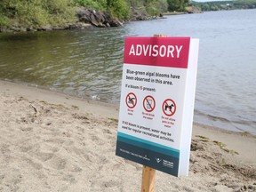 Public Health Sudbury and Districts has posted signs advising the public to avoid swimming, drinking the water, and allowing pets in the water at the beach near the amphitheatre at Bell Park in Sudbury, Ont.