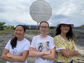 Maggie Fu, Jane Walker and Sophia Mathur took part in the first virtual Climate Reality Leadership Corps Global Training with former U.S. Vice President Al Gore. Supplied