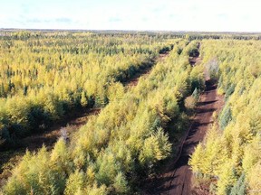Aerial shot of Canada Nickel Company's Crawford Project site located approximately 40 kilometres north of Timmins. Supplied