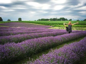 Kelly Spencer was recently invited to teach some outdoor yoga classes at Applehill Lavender farm. (Contributed photo)