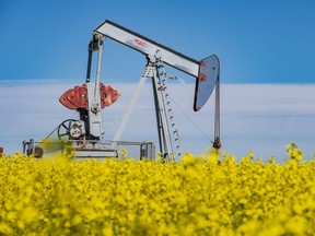 A pumpjack is surrounded by the yellow flowers of a canola field in full bloom west of Sexsmith on Monday, July 27, 2020. The County of Grande Prairie has expressed concerns with new oil and gas assessment models proposed by the province.