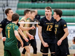 Former U of A Golden Bear George Hobern (No. 12) has signed his first pro volleyball contract to play in Europe. Photo by Robert Antoniuk
