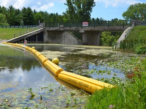 A new safety boom has been installed at the Morrison Dam east of Exeter to improve public safety. Handout